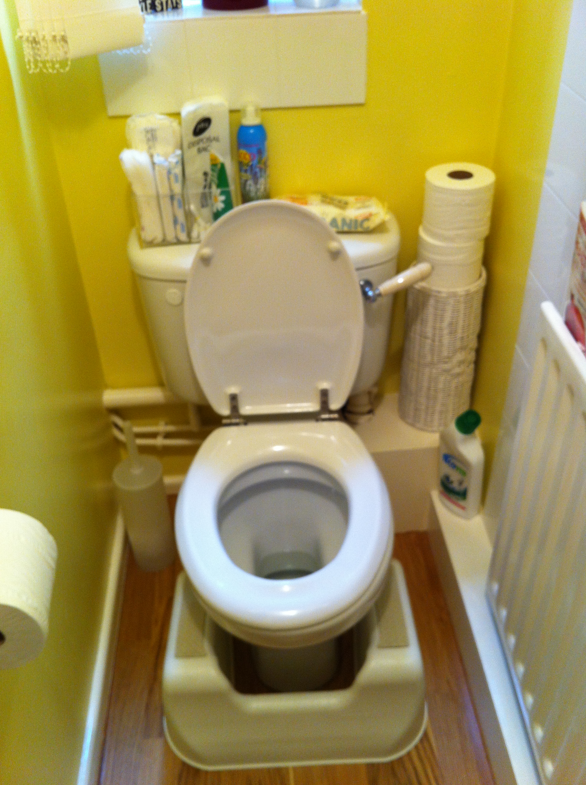 A snapshot of the toilet at my Clinic. Can you see the 'health step' on the floor?